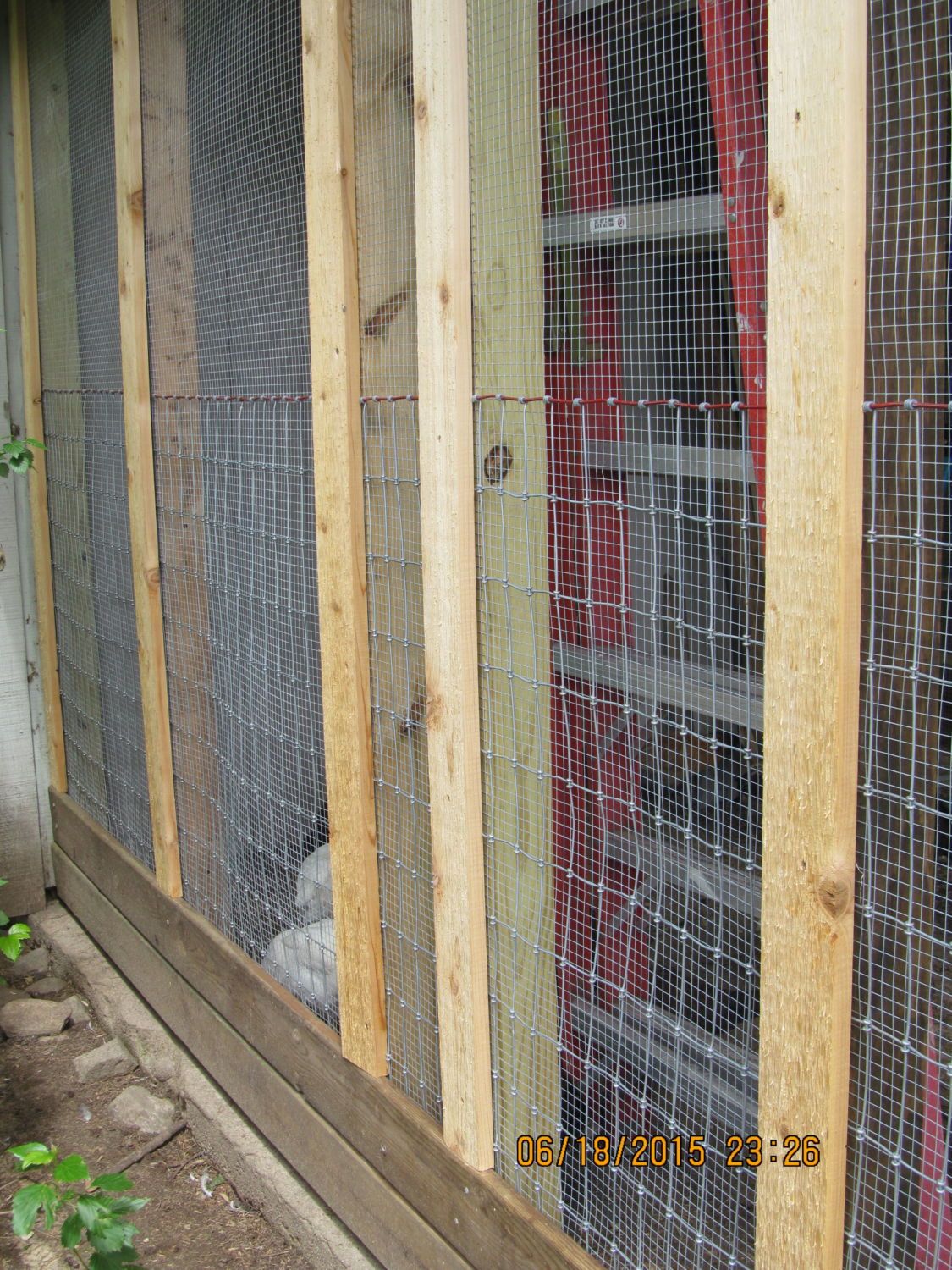 Question about Chicken Wire vs Hardware cloth | BackYard Chickens - Learn  How to Raise Chickens