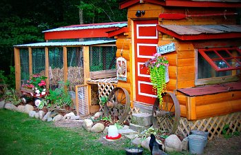 in-the-norway-pines-coop | BackYard Chickens