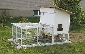 How To Fix A Muddy Run Chicken Coop Backyard Chickens