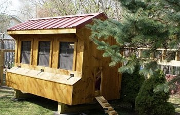 San415s Chicken Coop Brooders And More