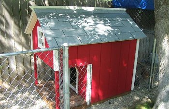 Chickendog Duplex Coop