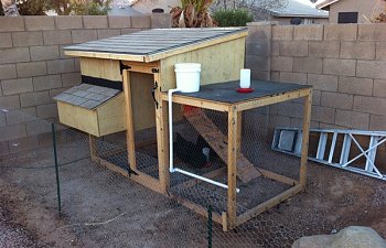 My Coop In The Az Sun