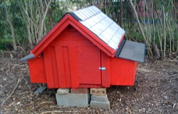 The Dog House Chicken Coop