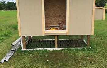 The "No Chickens!" Coop
