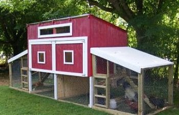 Strawberryhousemouse The Hen Duplex