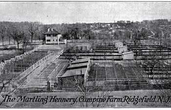 A Village Poultry Plant: The Campine Farm of S.V.R. Martling