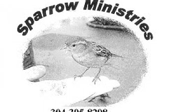 Sparrow_Min1.jpg