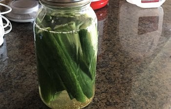 Fermented food and probiotics for good tummies