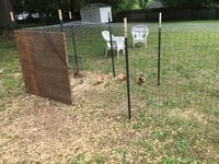 Chicken Coop 2020 5.jpg