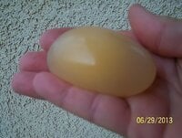 Shell-less eggs