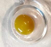 Discoloured (blue-green) yolks