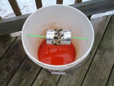 5 Gallon Bucket mouse trap  BackYard Chickens - Learn How to Raise Chickens
