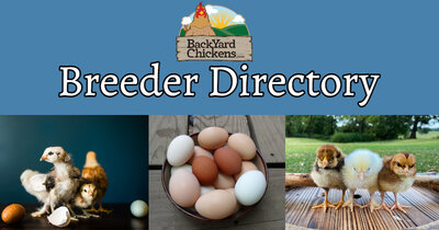 BYC Breeder Directory