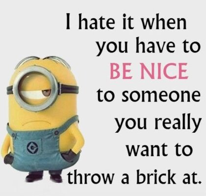 50-Best-Funny-Minion-Quotes-4315-5.jpg