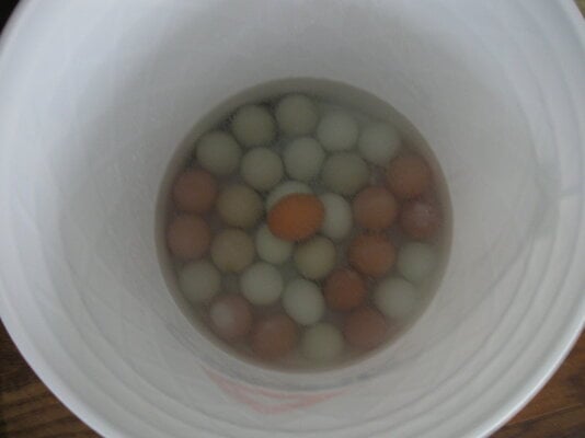 Preserving Eggs With Water-Glassing: The Results of My Year-Long Experiment...
