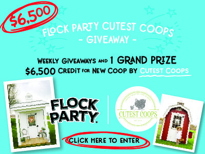 BYC Newsletter Flock Party Coop Giveaway.jpg