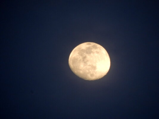 moon in VA.JPG