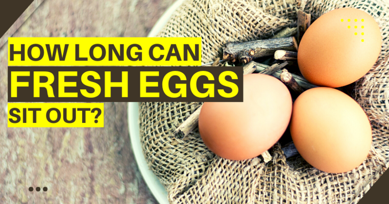 How Long Can Fresh Eggs Sit Out