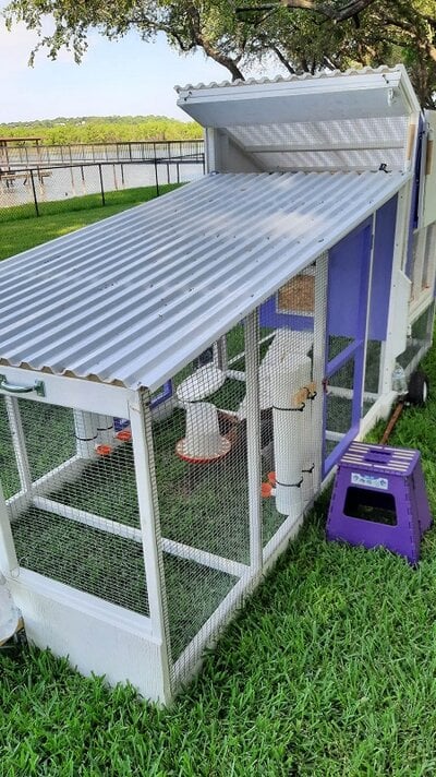 Purple Pullet Palace--small rolling coop with covered run
