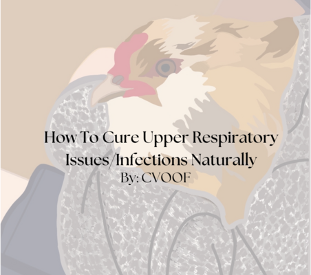 How To Cure Upper Respiratory Issues/Infections Naturally