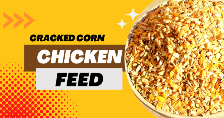 Cracked Corn Chicken Feed