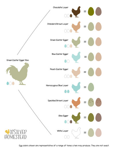 BreedingChart_GreenEERooster.jpg