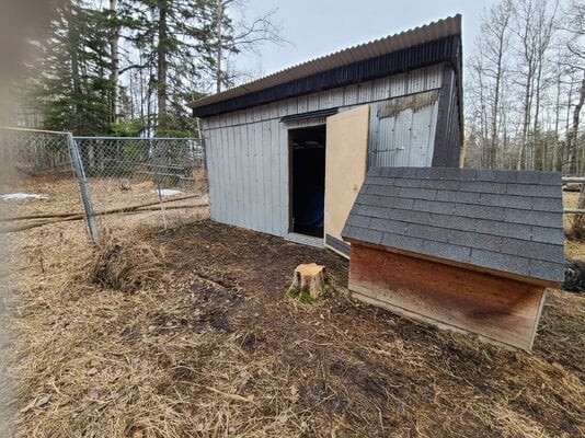 Was a Horse Shelter, Now a Chicken, Duck, Turkey Coop & Yard!