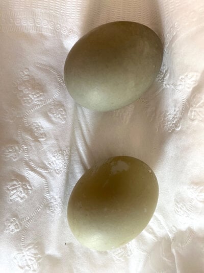 egg2and3.jpg