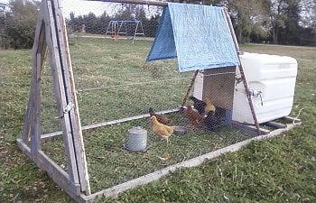 Tractor Vs Permanent Coop The Pros Cons