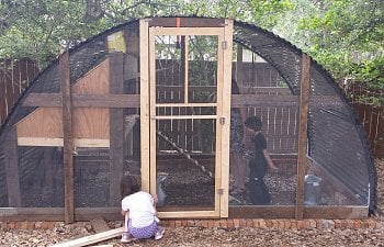 What should I do with that old trampoline? | BackYard Chickens - Learn How  to Raise Chickens
