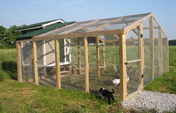 Schroeders Schroeders Byc Chicken Coop