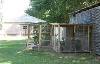 Kats Silly Chickenss Chicken Coop