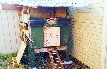 DIY $10 Fully Recycled Coop - looks so amateur and it is, but does the job
