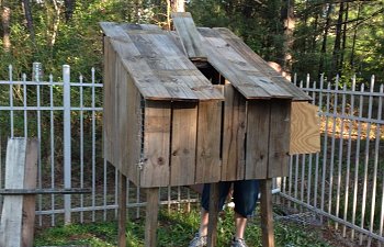 spare wood and pallet coop