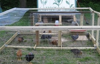 Broomfarms Chicken Coop