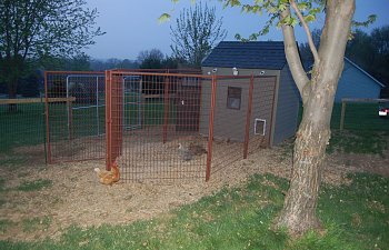 Our new chicken coop, only four chickens but more to come. :)