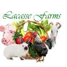 lacasse farms