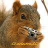 ChasSquirrel