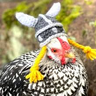 Flocking Viking Chicken