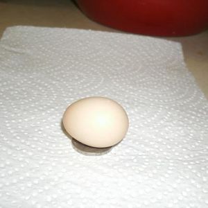 Fart egg sitting on a nickel.