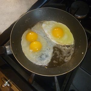 Double yoker beside one of my regular eggs.