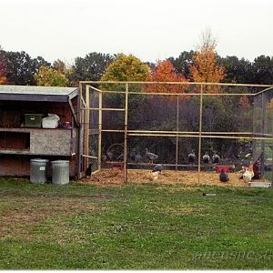 Our coop with run and rabbit hutch on front