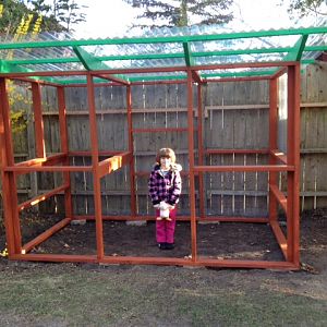 Lily likes it too!  Love the clear roof.