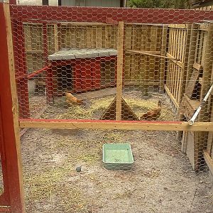 Finished Chicken Run for Birds of Paradise Coop