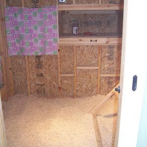 Storage space covered and future brooder to the right of the storage space.
