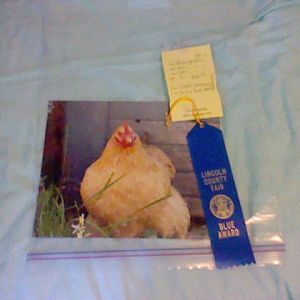 This is the picture I took for photography. Got a blue ribbon!!!