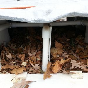 Nesting box of leaves.  The chickens love the leaves and I love the smell!