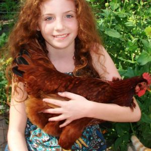 *
Madison with her Rhode Island Red and eggs!
