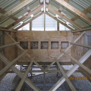 View of inside with nest box openings, only top half cut out.  Also showing roost bars.