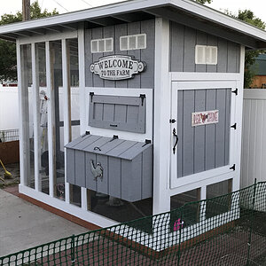 Beth's Chicken Coop